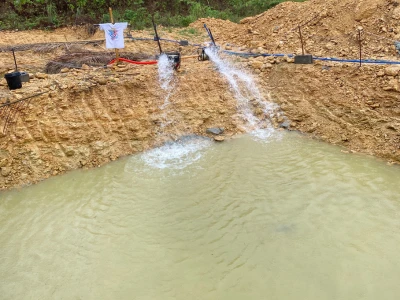 African catfish fingerlings Iloilo Philippines