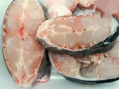 Catfish fingerlings Iloilo Philippines